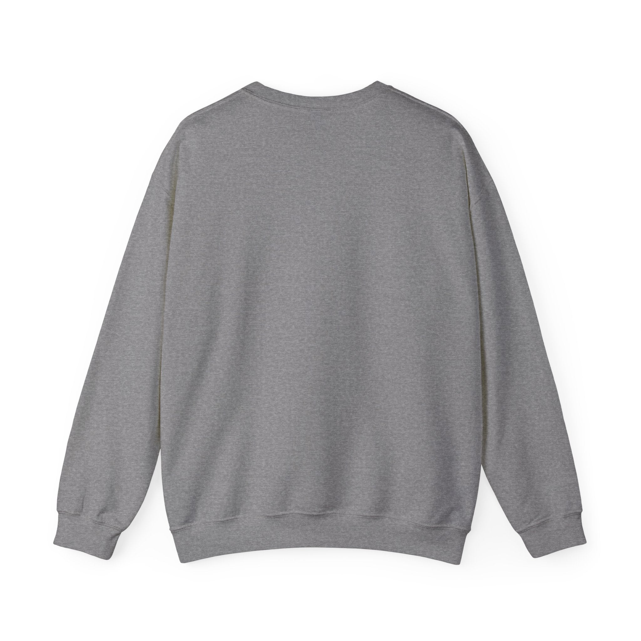 Crewneck Sweatshirt — "Motivation Is a Universal Language" Inspirational Pullover