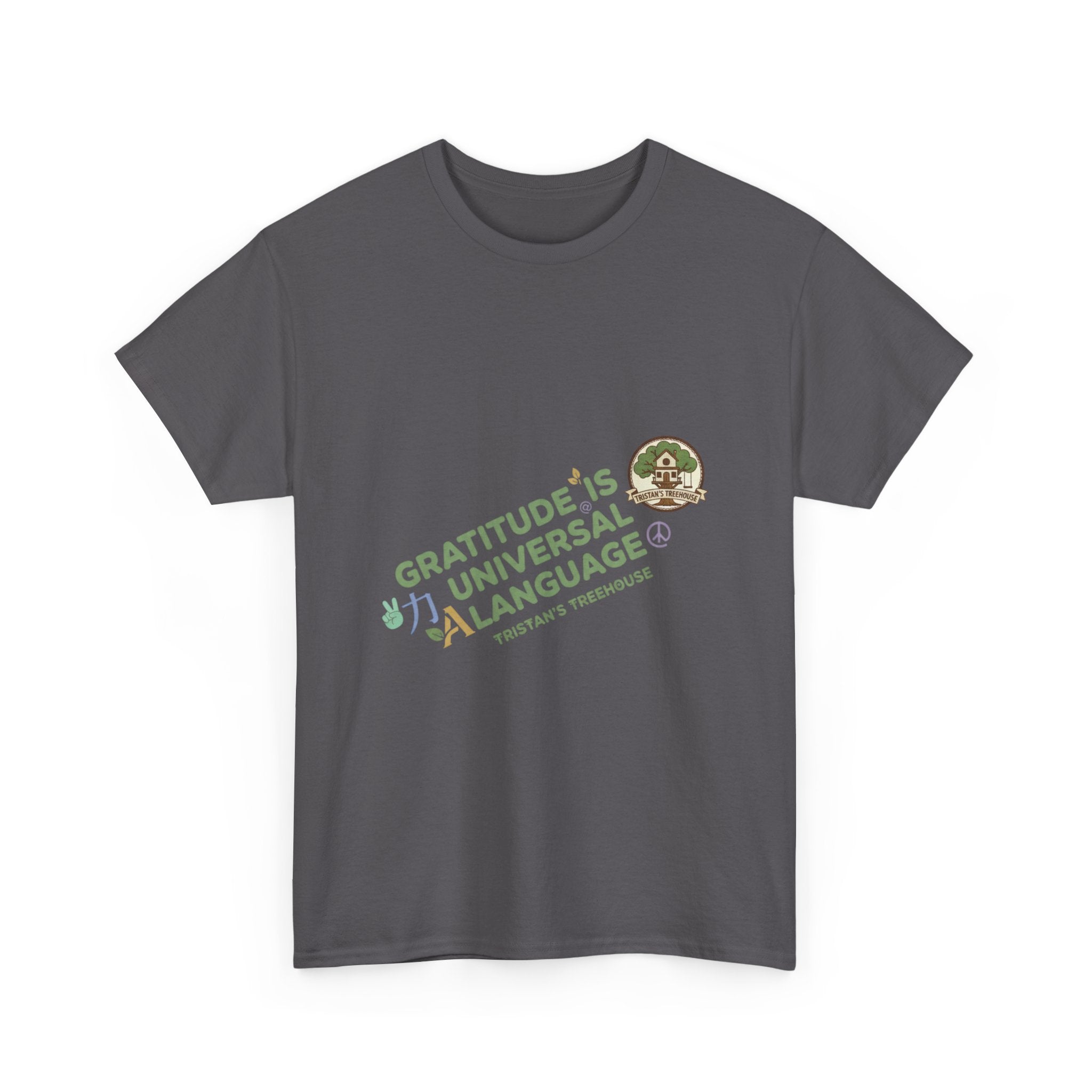 Gratitude Is A Universal Language Tee — Positive Mindfulness Graphic T-Shirt