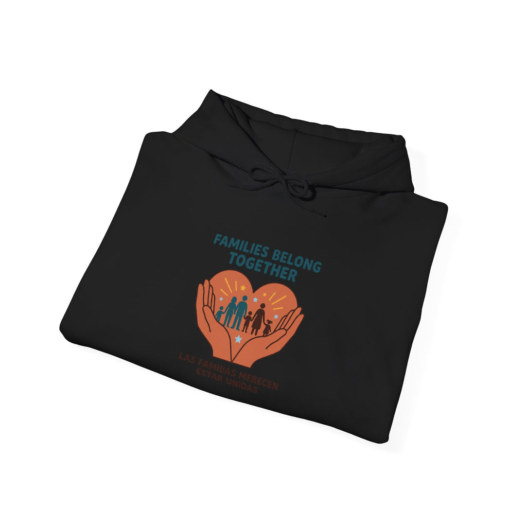 Families Belong Together Hoodie | family unity, solidarity, immigrant rights