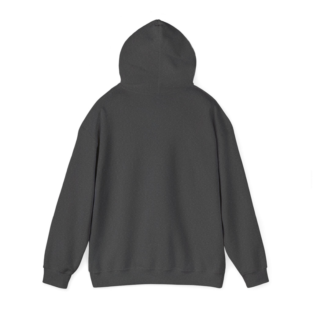Peace Is Universal Language Hoodie — Inclusive Symbols Graphic Hoodie